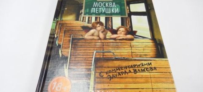 Анализ поэмы ерофеева «москва — петушки»