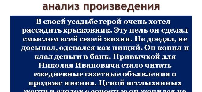 Анализ стихотворения «поэт» (а.с. пушкин)