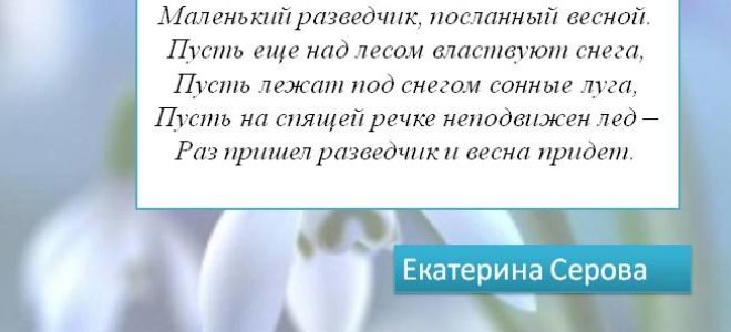 Кратчайшее содержание рассказа «подснежник» для читательского дневника (и. бунин)