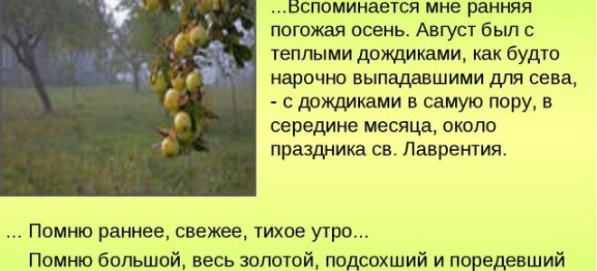 Краткое содержание произведения «антоновские яблоки» по главам (и. бунин)
