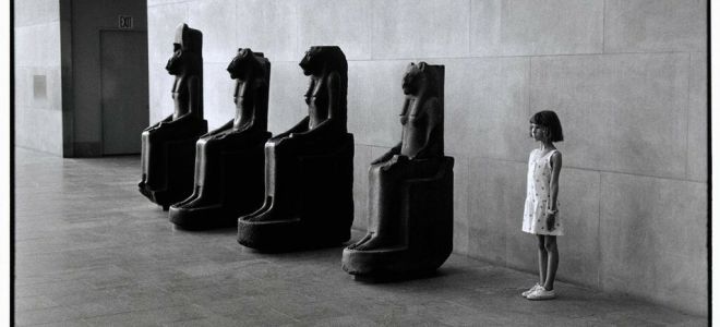 Концепция мира и человека в романе дж.барнса «история мира в 10 с половиной главах»