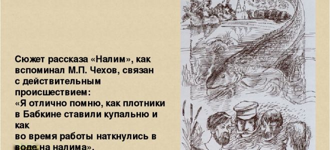 Краткое содержание рассказа «налим» (а. п. чехов)