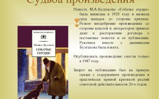 Кратчайшее содержание повести «собачье сердце» для читательского дневника (м. а. булгаков)