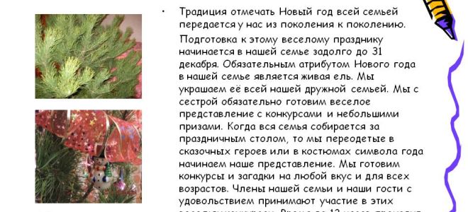 2 сочинения: новый год в моей семье (для 3-5 классов)