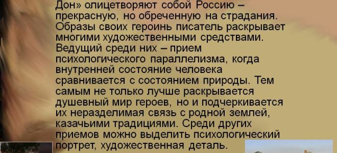 Женские образы тихого дона: сочинение