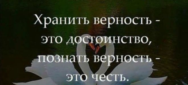 Что помогает человеку сохранять верность чести?