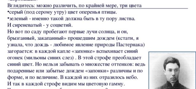 Анализ стихотворения «во всем мне хочется дойти…» (б. л. пастернак)