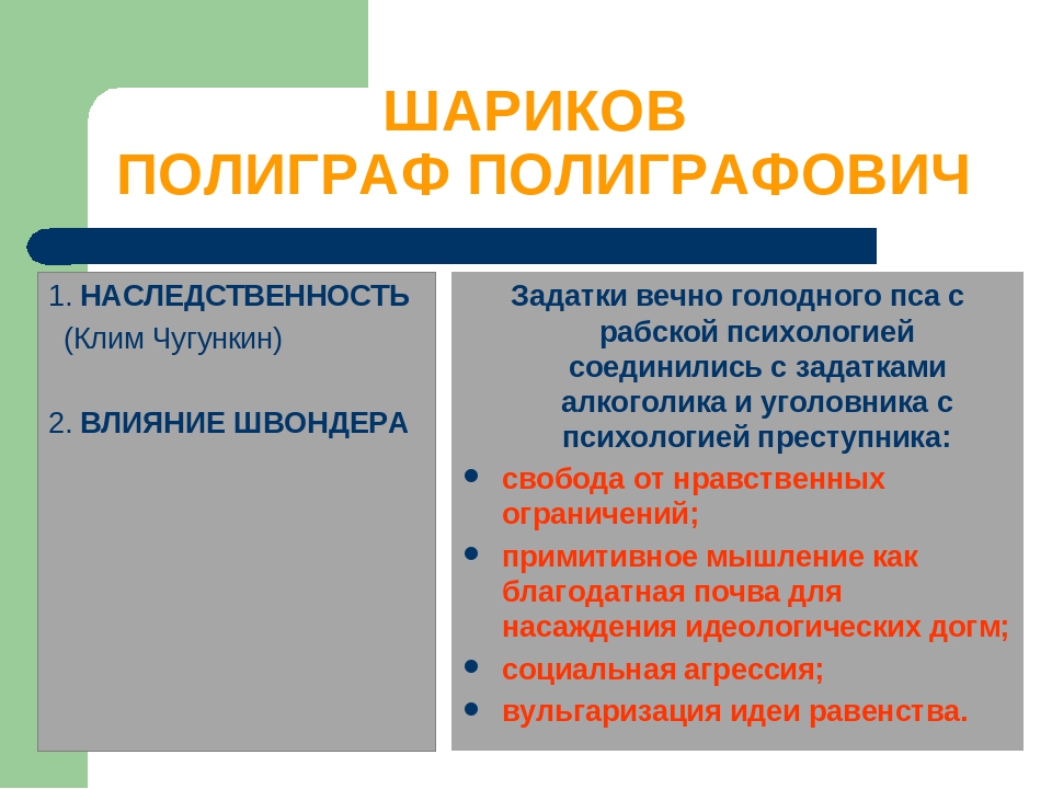 Характеристика шарикова с цитатами. Собачье сердце Клима Чугункина. Схожие черты шарика и Шарикова. Шарик черты.