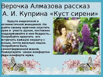 Куст сирени книга фото