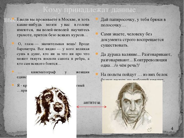 Сочинение: Булгаков м. а. - Рассуждения над страницами повести «собачье сердце»